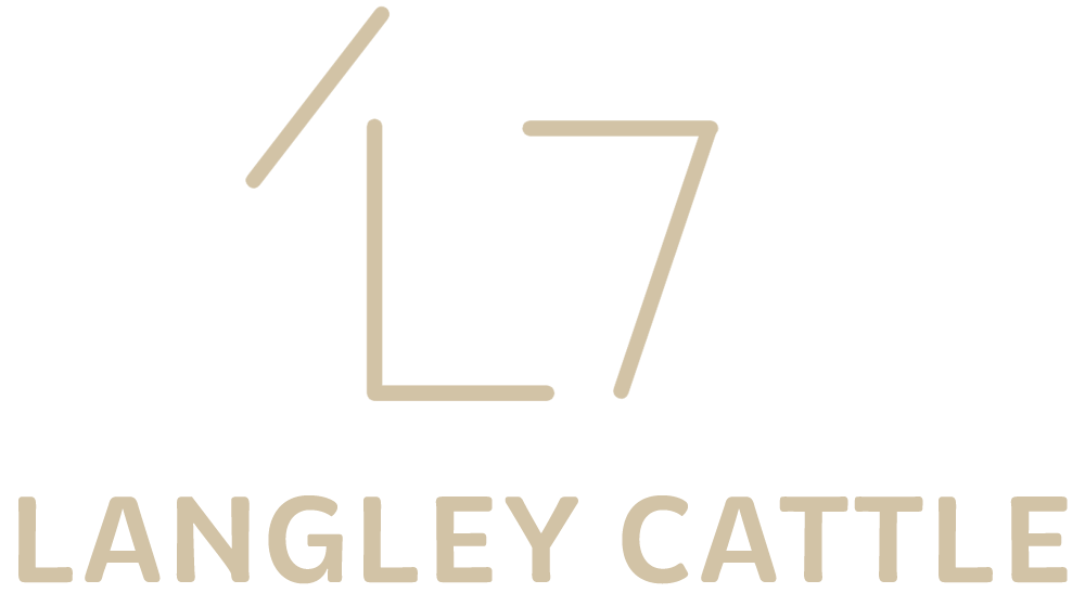 Langley Cattle